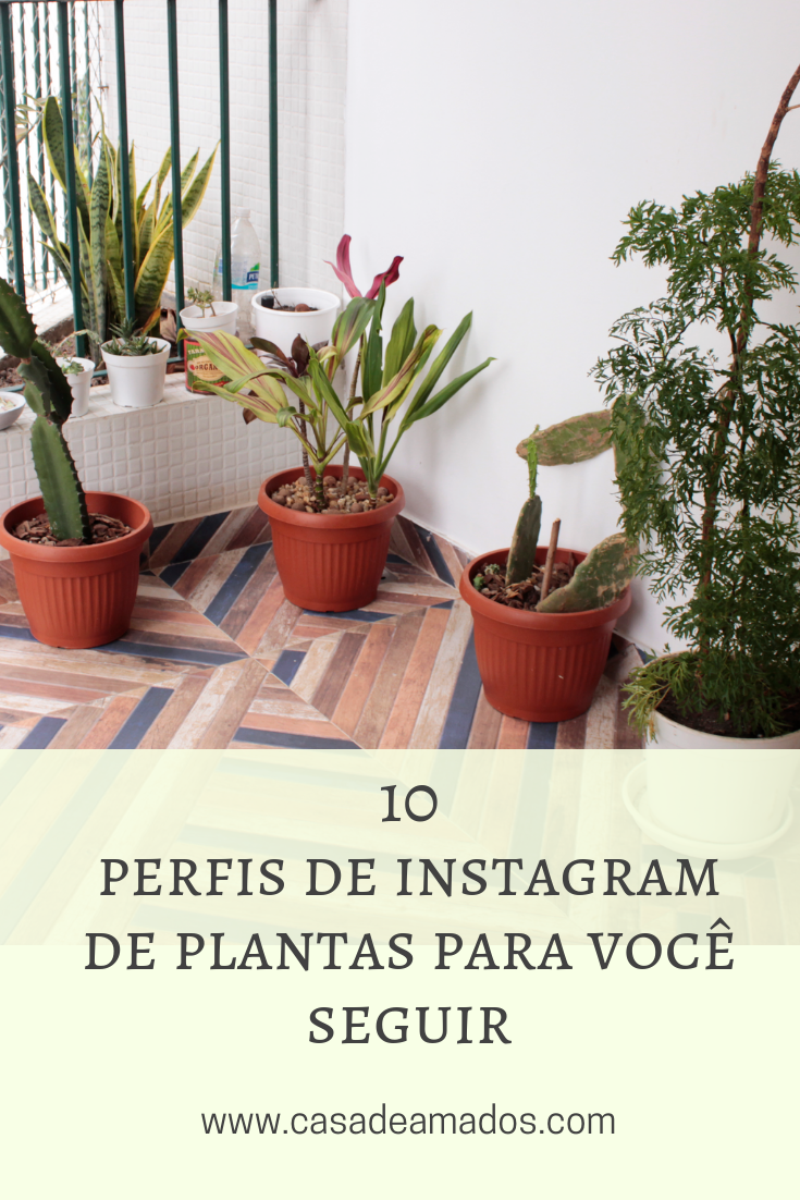 instagram de plantas
